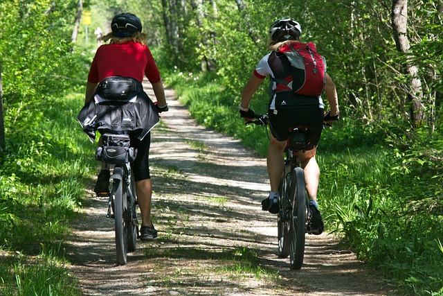 Ruta bicicleta